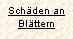 Sch&auml;den an Bl&auml;ttern