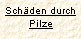 Sch&auml;den durch Pilze